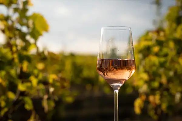 Vins-rosés vins rosés