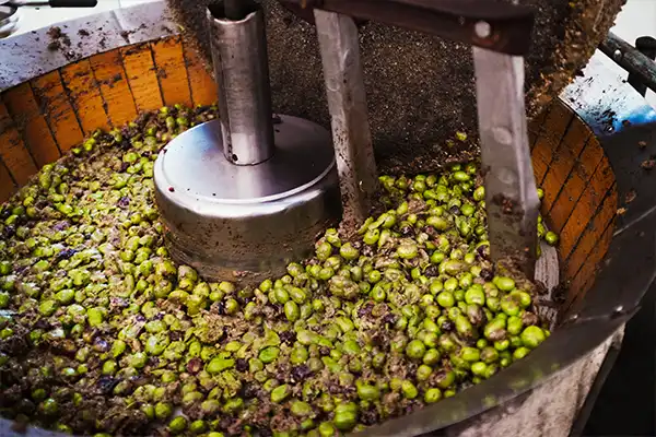 Extraction-et-fraicheur Extraction-et-fraicheur