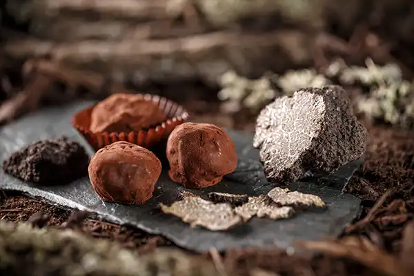 Truffes-produits-dérivés Truffes-produits-dérivés